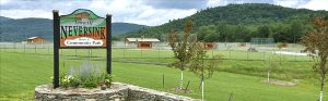 Town of Neversink Community Park
