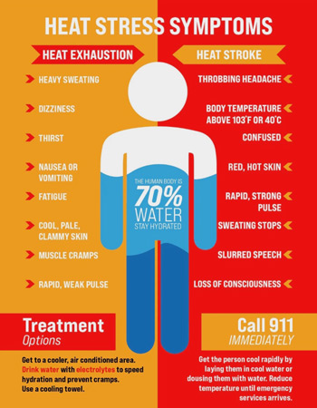 Heat Stress Awareness: Know the Signs & Stay Safe